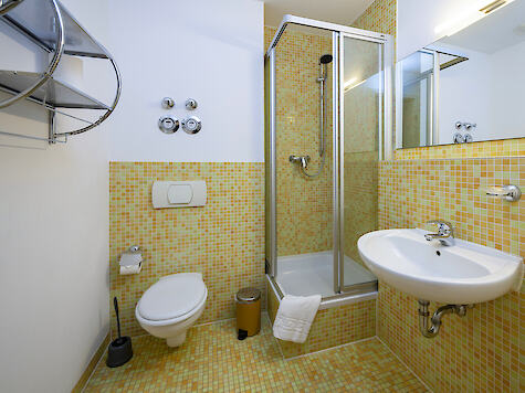 Bagno con doccia, WC e lavabo
